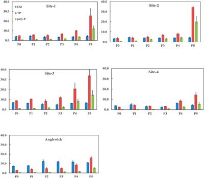 Polyphosphate Accumulation Tracks Incremental P-Enrichment in a Temperate Watershed (Pennsylvania, United States) as an Indicator of Stream Ecosystem Legacy P